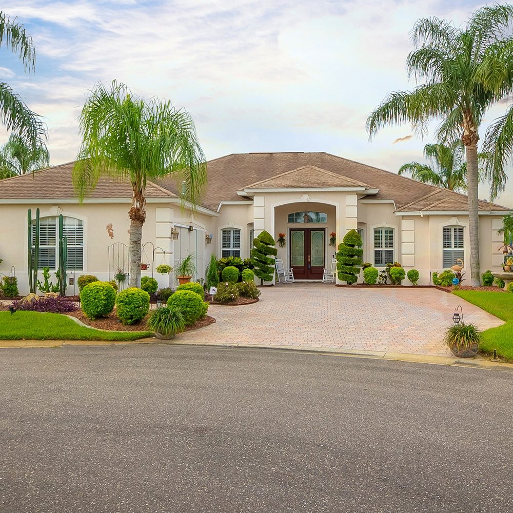 Beautiful Home with Palms