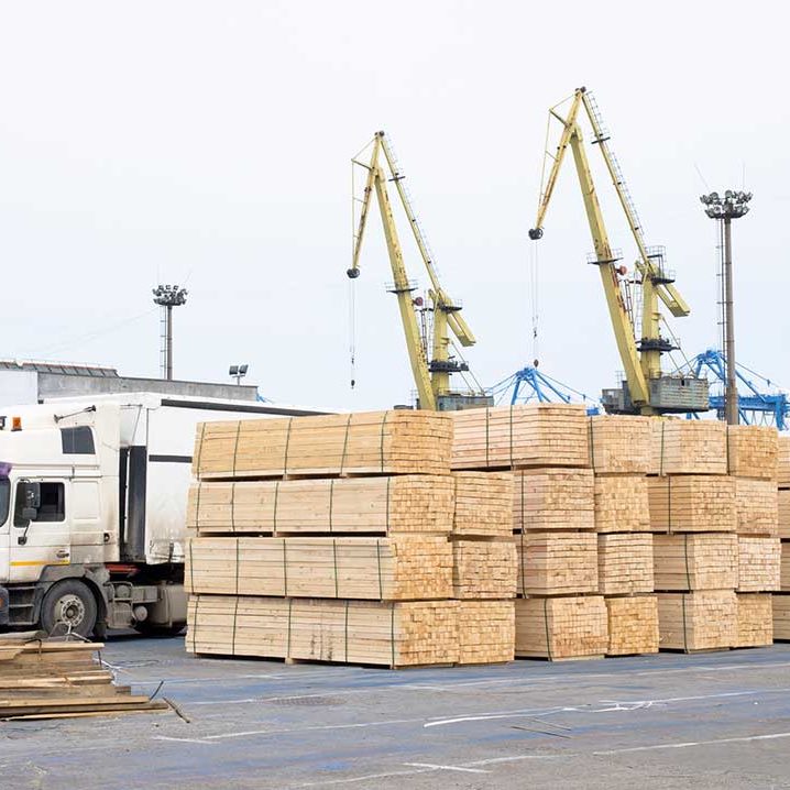 Pile Of Logs At The Port Ready For Loading To Ships